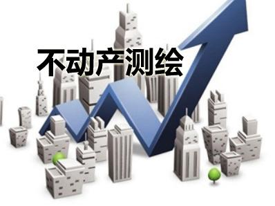 不动产测绘.png